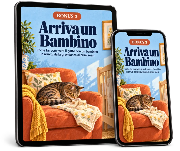 Bonus 3 · Arriva un Bambino, su tablet e telefono